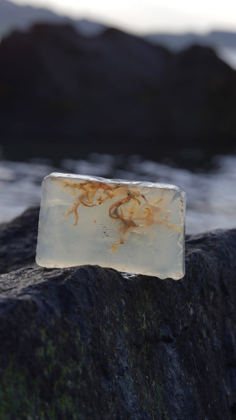 Exfoliation Soap
