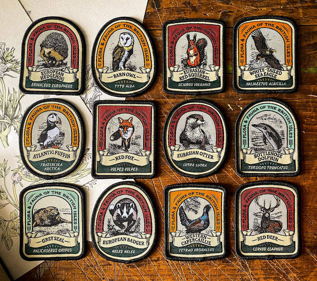 Eurasian Otter patch