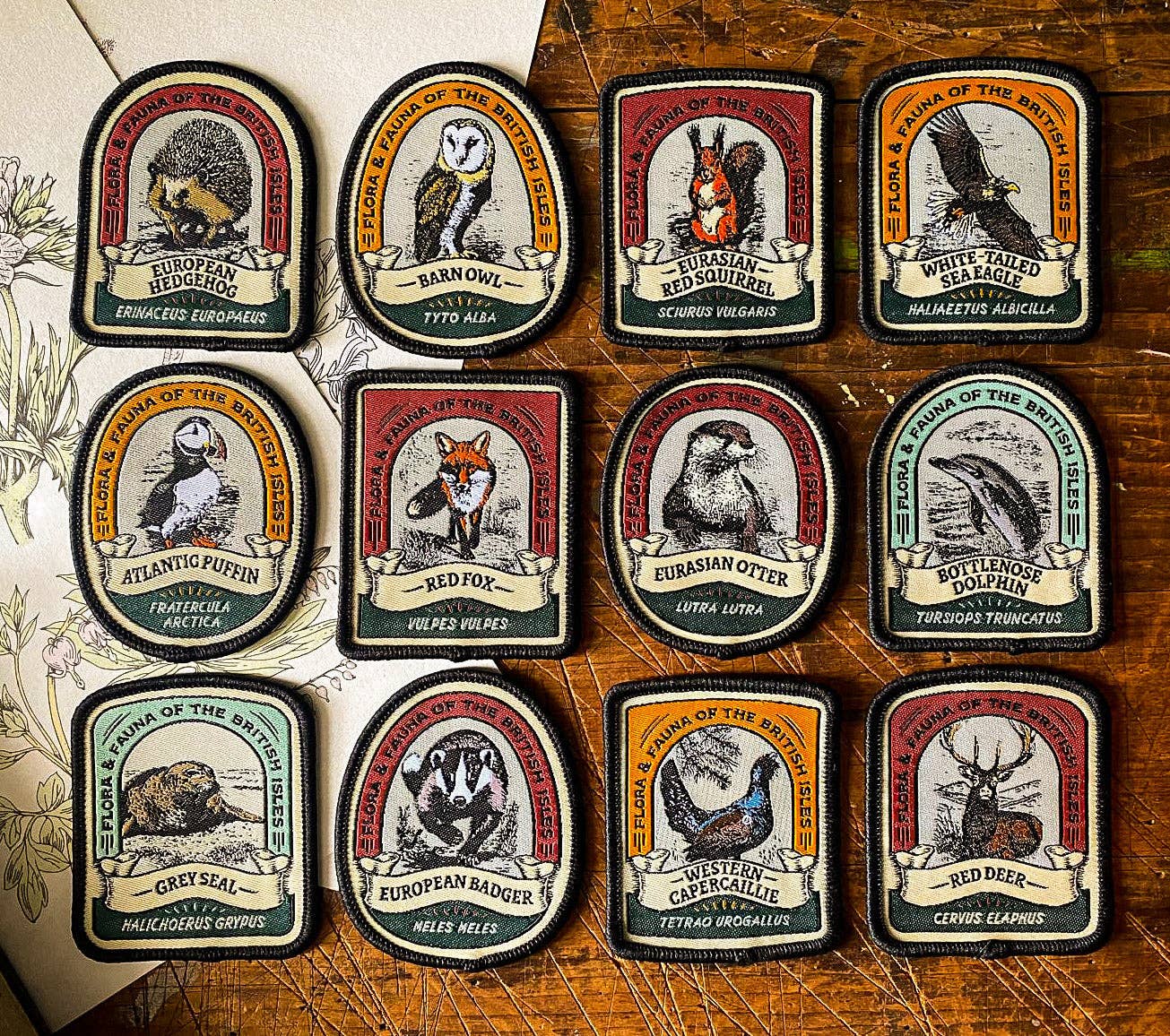 Eurasian Otter patch