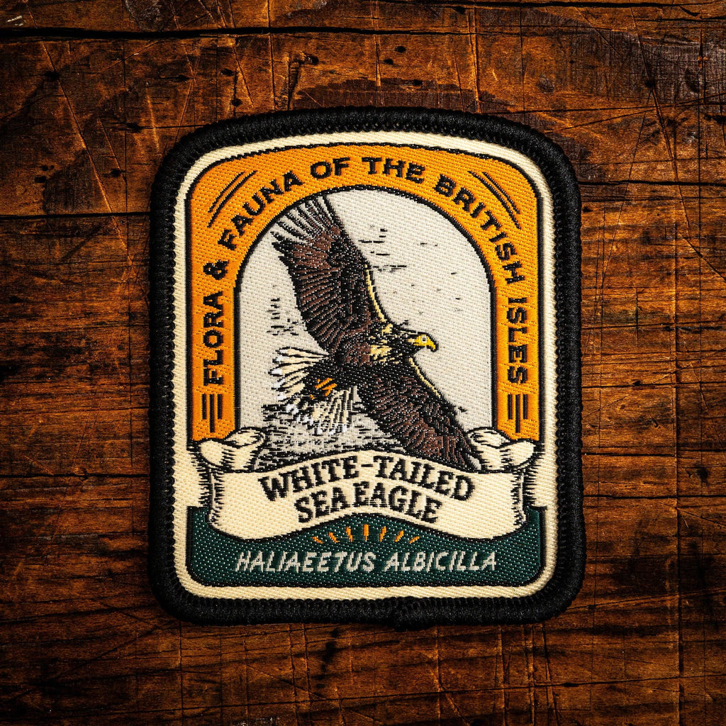 White-tailed Sea Eagle patch