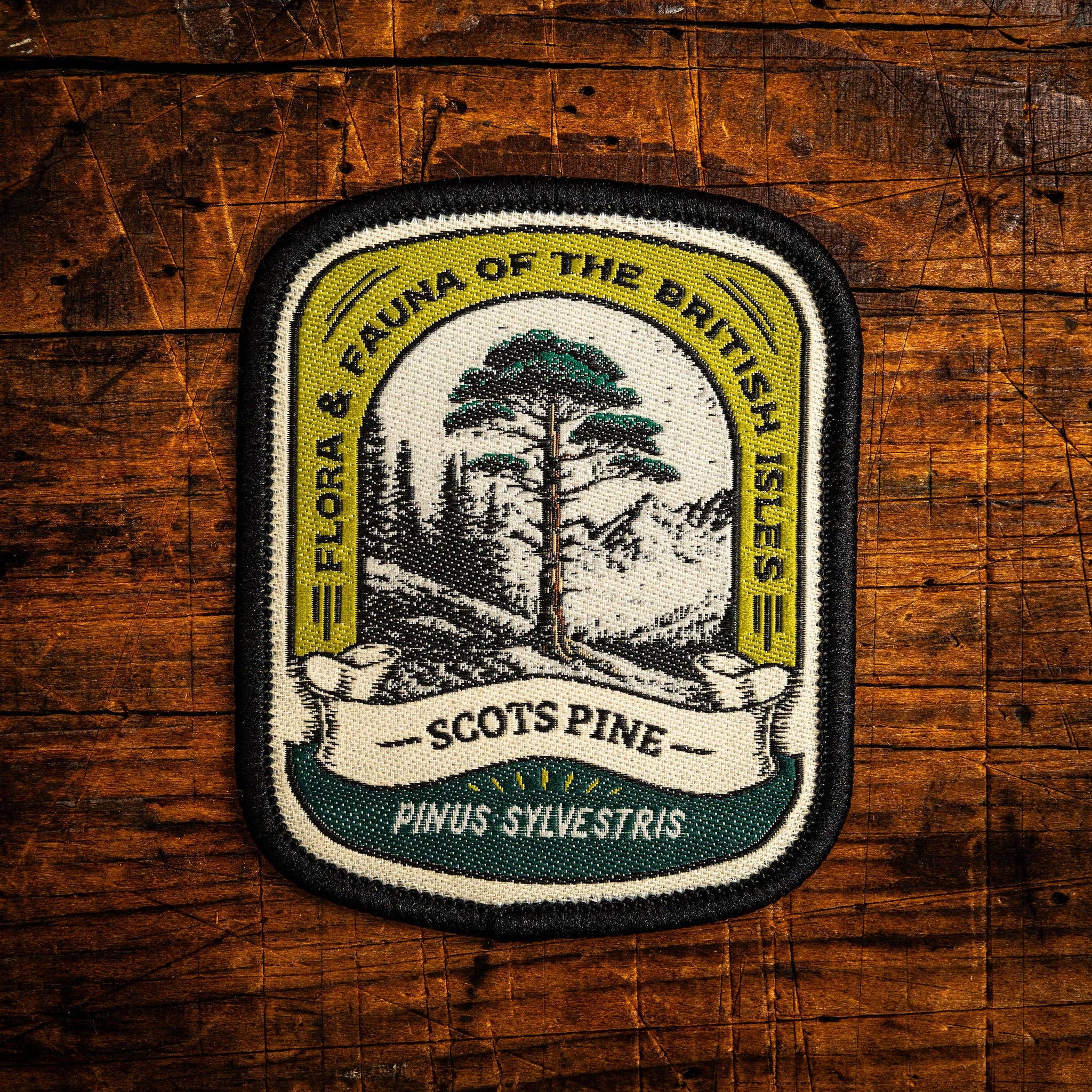 Scots Pine patch