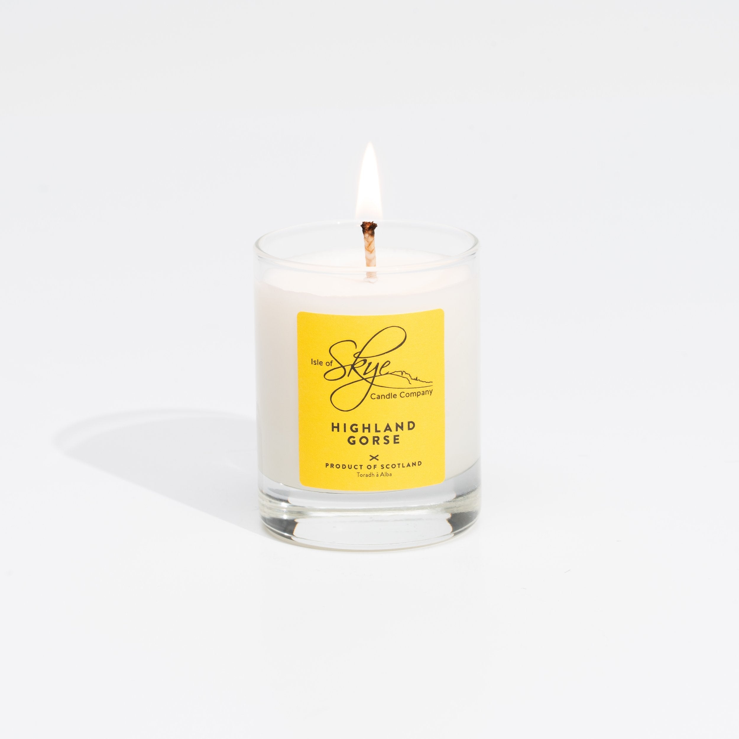 Highland Gorse Miniature