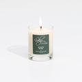 Scots Pine Miniature