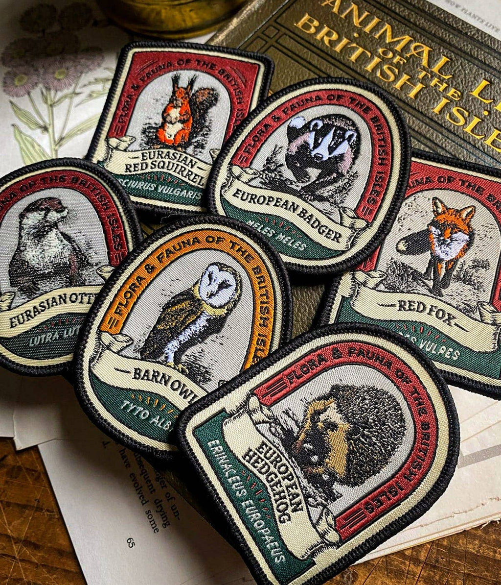 Eurasian Otter patch