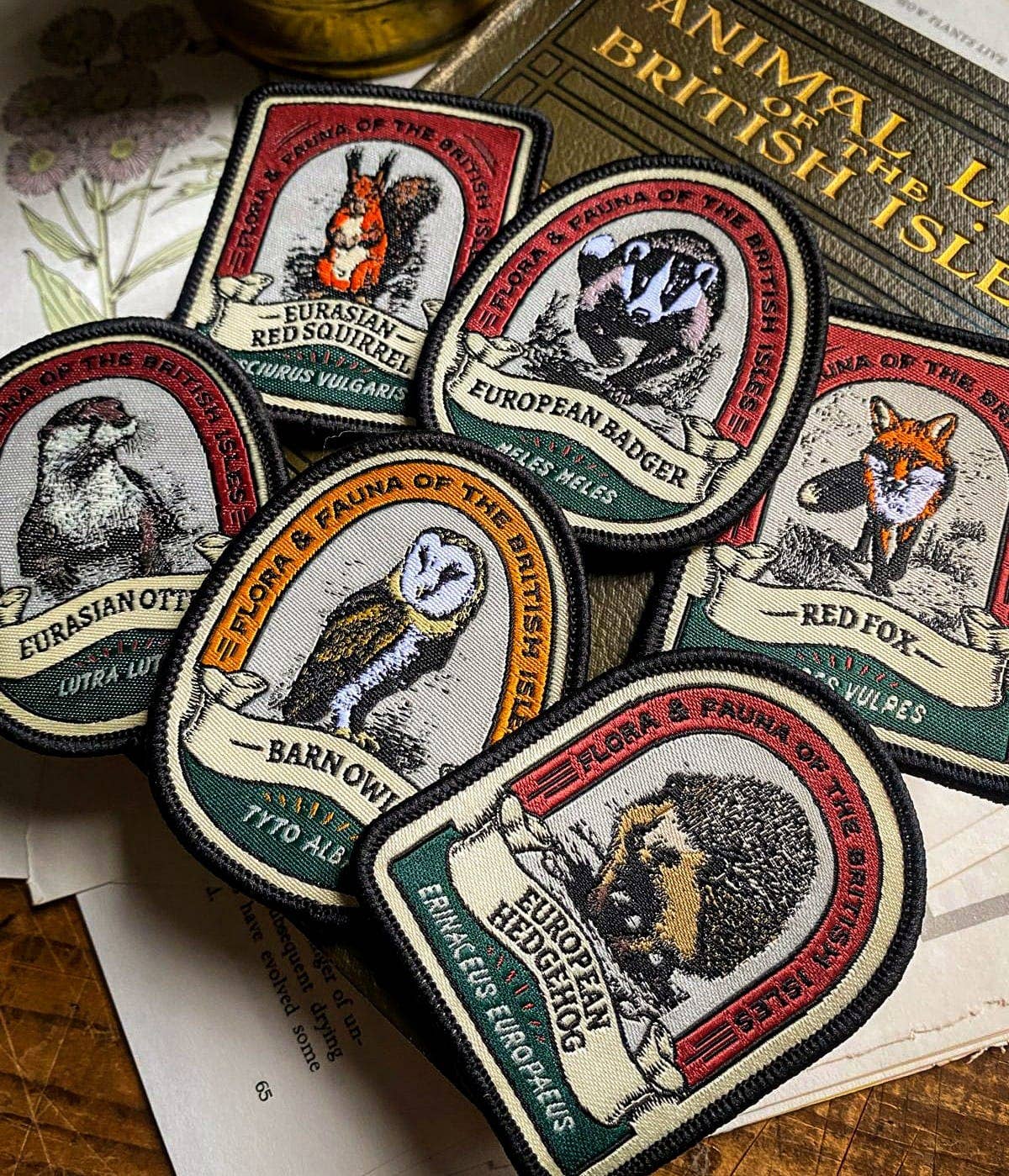 Eurasian Otter patch