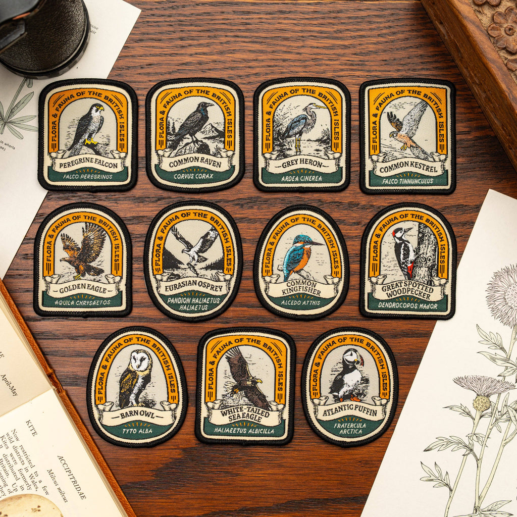 Atlantic Puffin patch