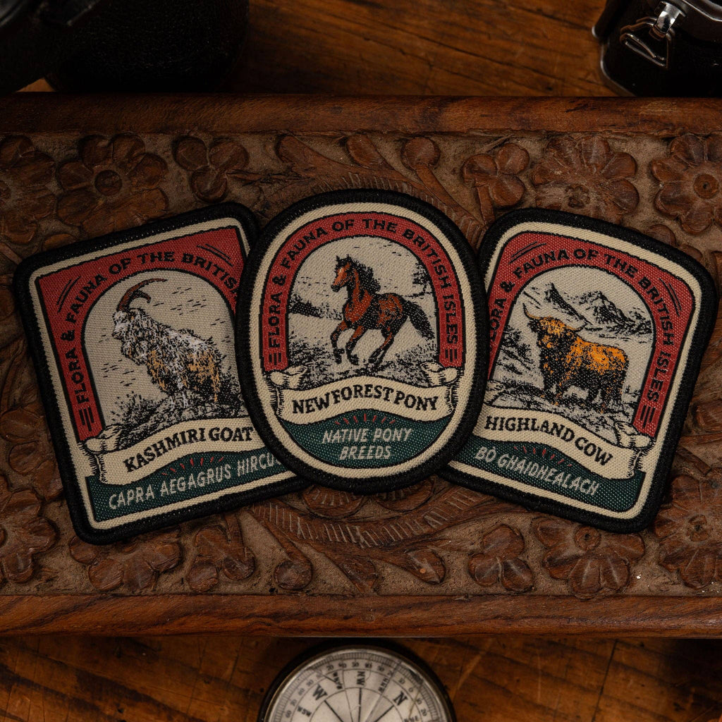 Highland Cow patch